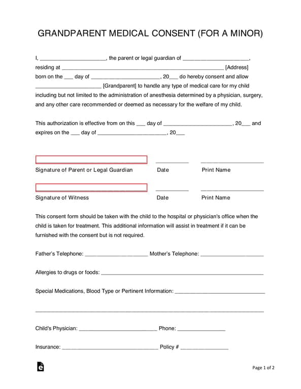 Grandparent Child Medical Consent Authorization